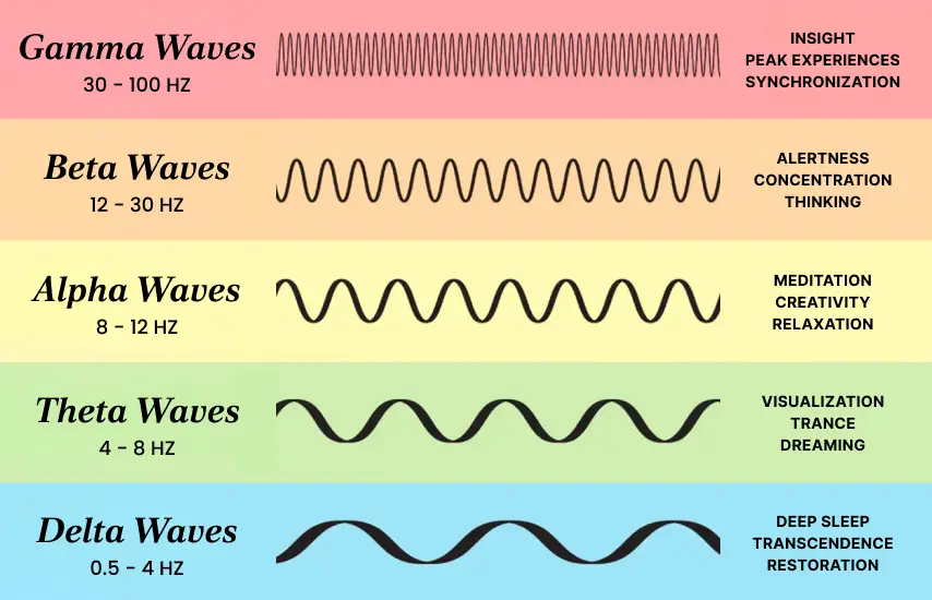 Brain wave frequencies chart showing different states of consciousness