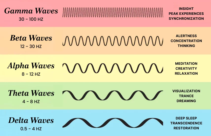 Brain wave types showing Gamma, Beta, Alpha, Theta, and Delta waves with their frequencies and functions