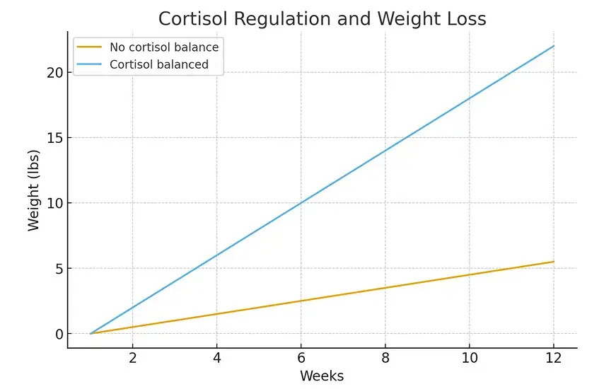 Illustration of cortisol levels and body fat storage