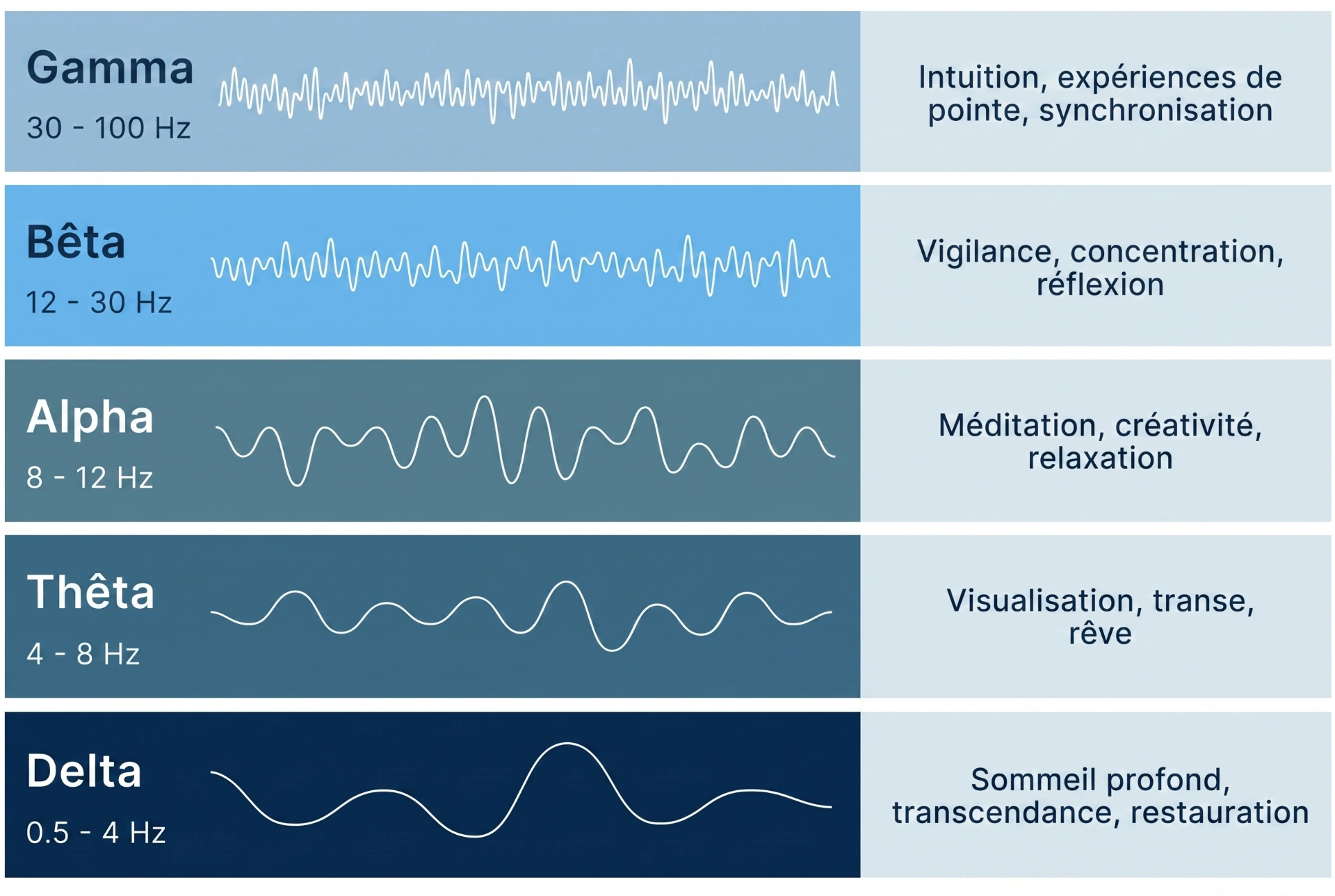 Graphique des fréquences des ondes cérébrales représentant différents états de conscience