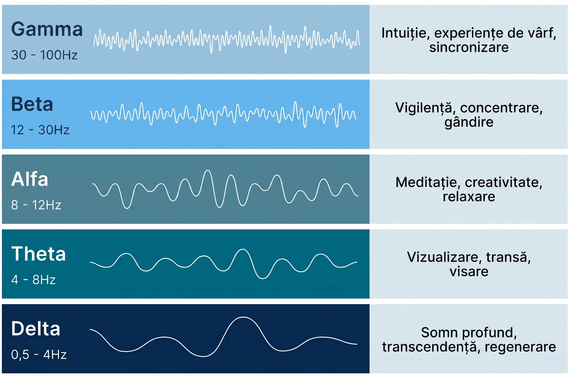 Tipuri de unde cerebrale: Gamma, Beta, Alpha, Theta și Delta cu frecvențele și funcțiile lor