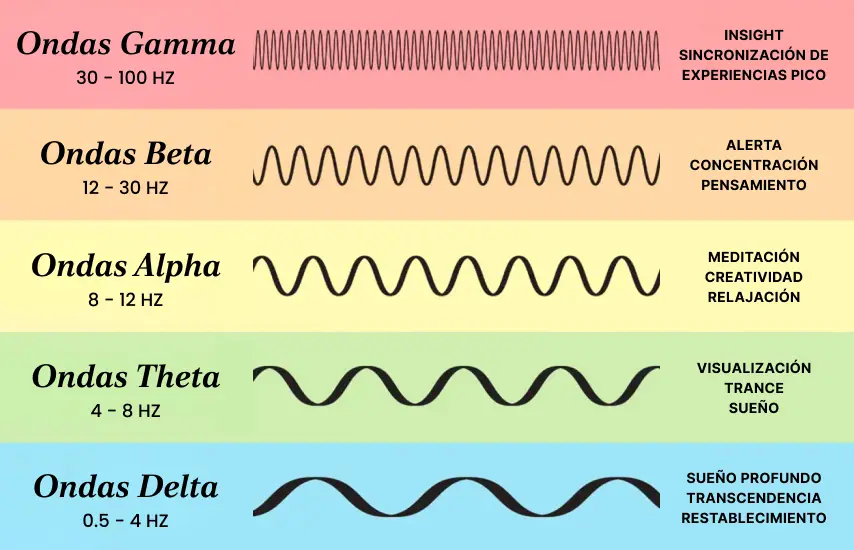 Gráfico de frecuencias de ondas cerebrales mostrando diferentes estados de conciencia