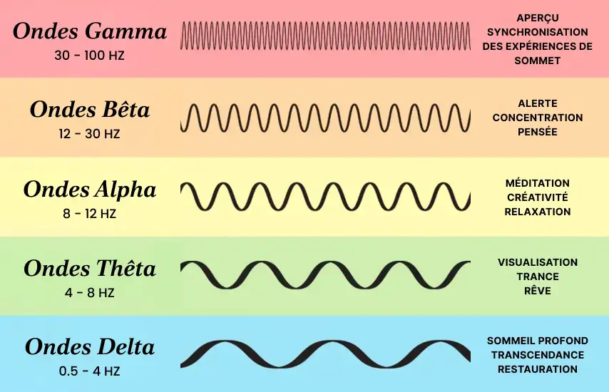 Diagramme des fréquences d'ondes cérébrales montrant différents états de conscience